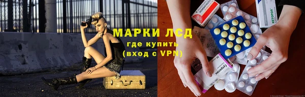 ПСИЛОЦИБИНОВЫЕ ГРИБЫ Бородино