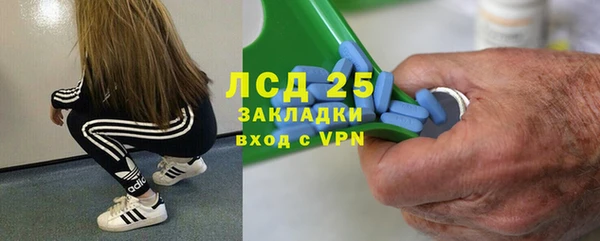 ПСИЛОЦИБИНОВЫЕ ГРИБЫ Бородино