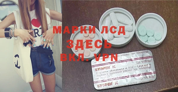 ПСИЛОЦИБИНОВЫЕ ГРИБЫ Бородино