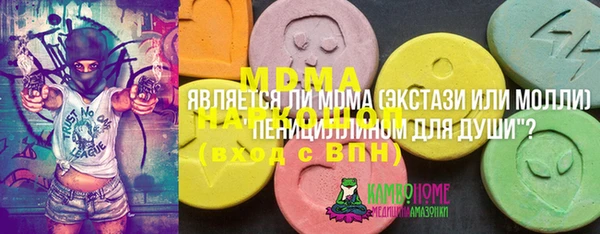 ПСИЛОЦИБИНОВЫЕ ГРИБЫ Бородино
