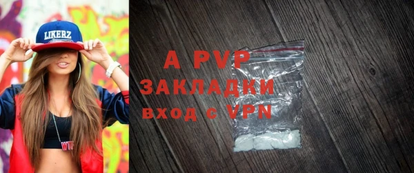 ПСИЛОЦИБИНОВЫЕ ГРИБЫ Бородино
