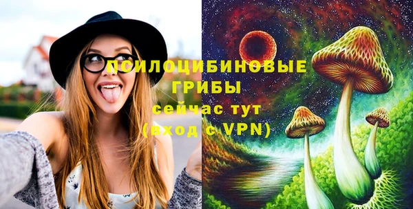 ПСИЛОЦИБИНОВЫЕ ГРИБЫ Бородино