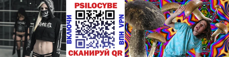 Псилоцибиновые грибы Psilocybine cubensis  где купить наркоту  Оса 